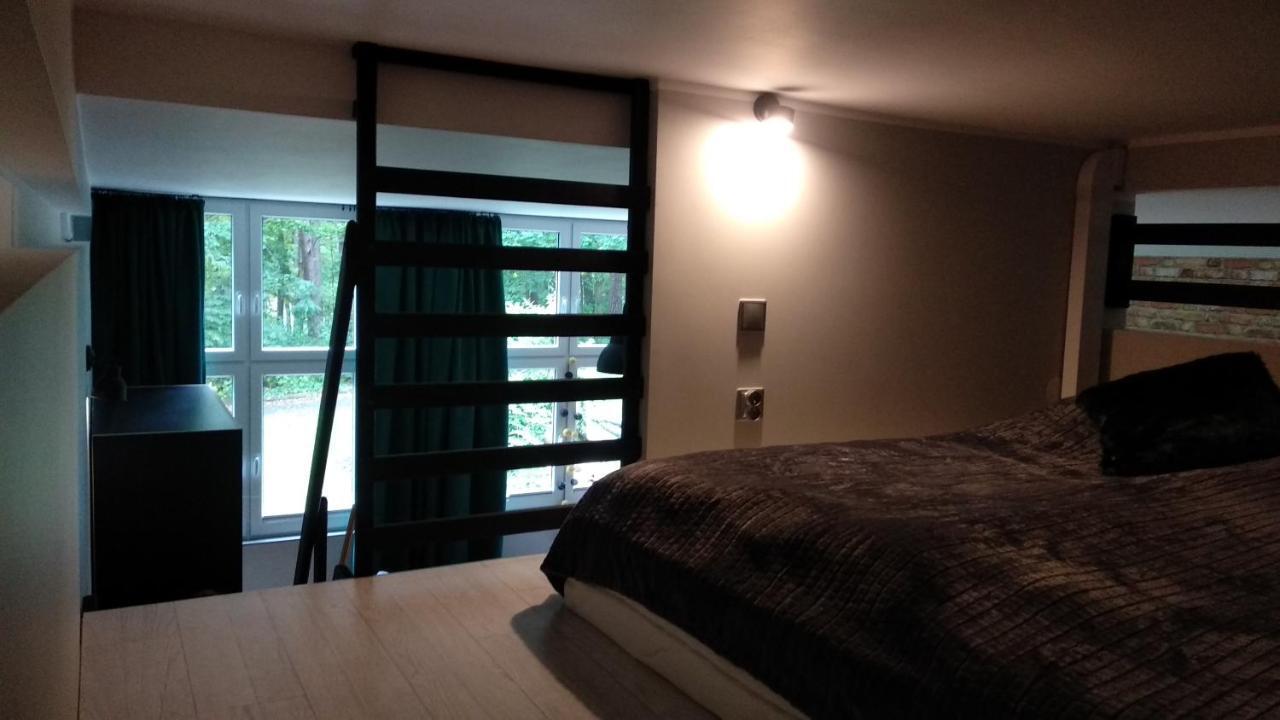 Apartament 5 przy Parku Leśnym Polanica-Zdrój Zewnętrze zdjęcie